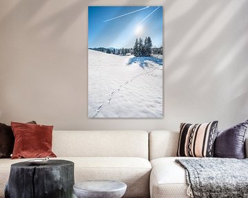 Winteruitzicht vanaf Sinswanger Moos bij Oberstaufen met uitzicht op de Hochgrat van Leo Schindzielorz