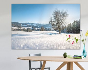 Prachtig winteruitzicht op de Hochgrat en de Allgäuer bergen bij Oberstaufen van Leo Schindzielorz