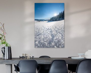 Sneeuwkristallen bij Oberstaufen van Leo Schindzielorz