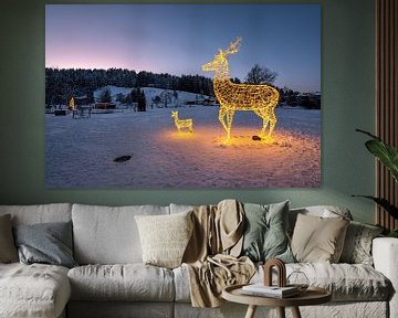Wintermagie in het park van Oberstaufen van Leo Schindzielorz