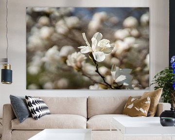 Magnolia Bloesem van Remke Maris