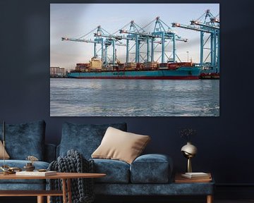 Containerschiffe auf der Maasvlakte von scheepskijkerhavenfotografie