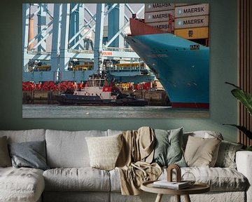 Schlepperhafenkai und Containerschiff von scheepskijkerhavenfotografie