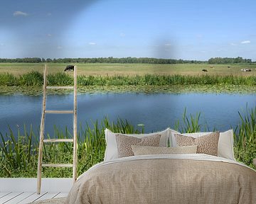 Meije Fluss Grünes Herz von Richard Wareham