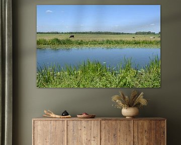 Meije Rivier Groene Hart van Richard Wareham