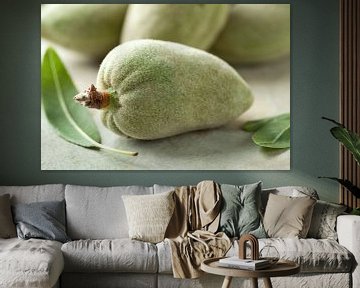 Verse groene amandel noot en blad van Frans Rombout