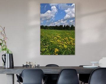 A field of wildflowers by Claude Laprise