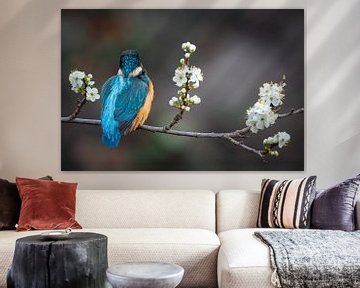 Ijsvogel in de bloesem van Walter Roost