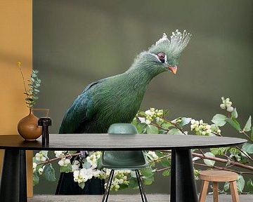 Livingstone Toerako by Walter Roost