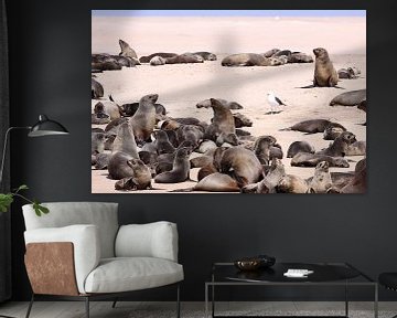 Walvis Bay sur Henk Langerak