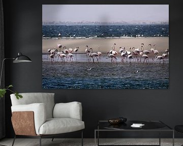 flamingo's in Walvis Bay by Henk Langerak