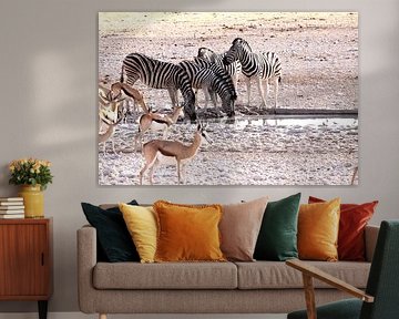 Drinkende zebra's in Okaukuejo van Henk Langerak