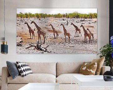 Group of Giraffes in Nambinë by Henk Langerak