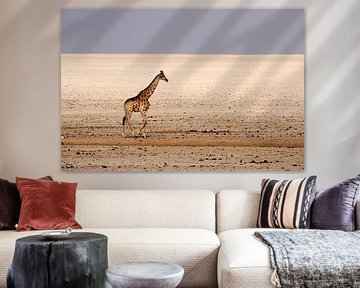 giraffe in desert by Henk Langerak