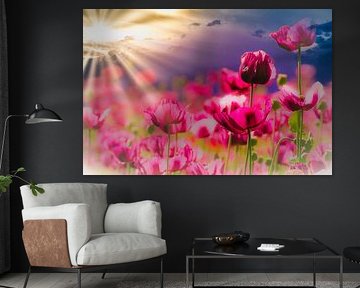 Mohnblumen