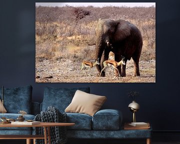 Éléphant à Etosha sur Henk Langerak