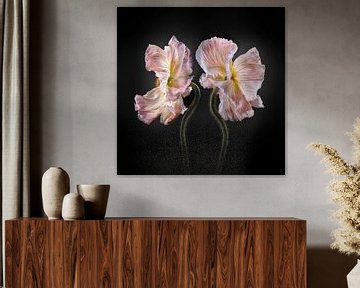 Poppies Escape No 11 van Jo van den Berg