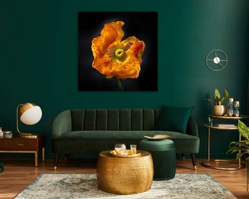 Poppies Escape No 12 van Jo van den Berg