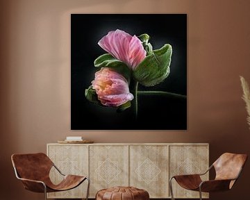 Poppies Escape No 10 van Jo van den Berg