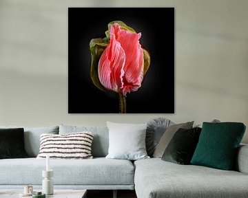 Poppies Escape No 07 van Jo van den Berg