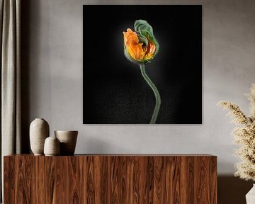 Poppies Escape No 03 van Jo van den Berg