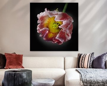 Poppies Escape No 01 van Jo van den Berg