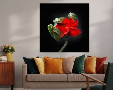 Poppies Escape No 02 van Jo van den Berg