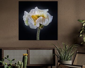 Poppies Escape No 06 van Jo van den Berg