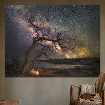 Flatvarp milkyway 2025