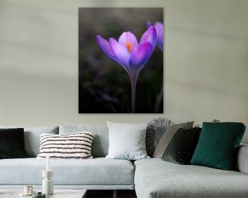 Sprookjesachtige lente van Atelier Nadine