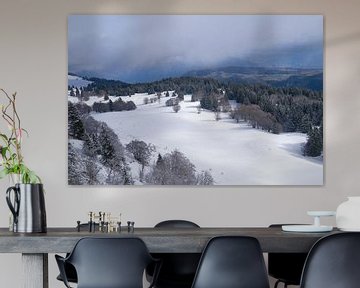 Natuurpark Vercors in de Franse Alpen van Ralph Rozema