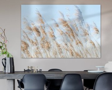 Waving reeds by Paulien Varkevisser