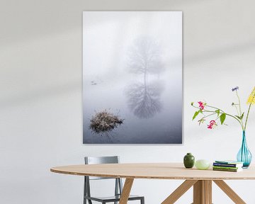 Arbre dénudé se reflétant dans l'eau sur Erwin Pilon