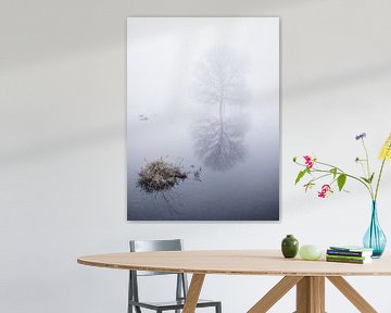 Kale boom gereflecteerd in het water van Erwin Pilon