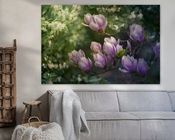 Nahaufnahme von Magnolien, malerisch, pastellfarben, fliederfarben, rosa und weiß von Joriali Fotografie und Gemälde