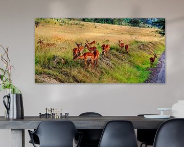 Herten in de Masai Mara by René Holtslag