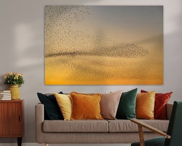 Spreeuwen tijdens zonsondergang aan het einde van een winterdag van Sjoerd van der Wal Fotografie