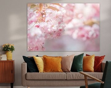 Fleur de cerisier enchanteresse dans des tons roses doux sur Miranda Geerts Art