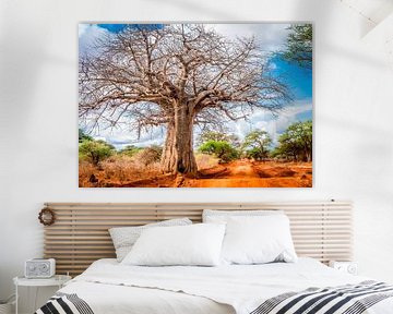 Colourful portrait of a monumental baobab tree by Opmeer Reports
