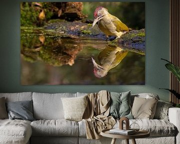 Green woodpecker reflected in the water by Ron Buist