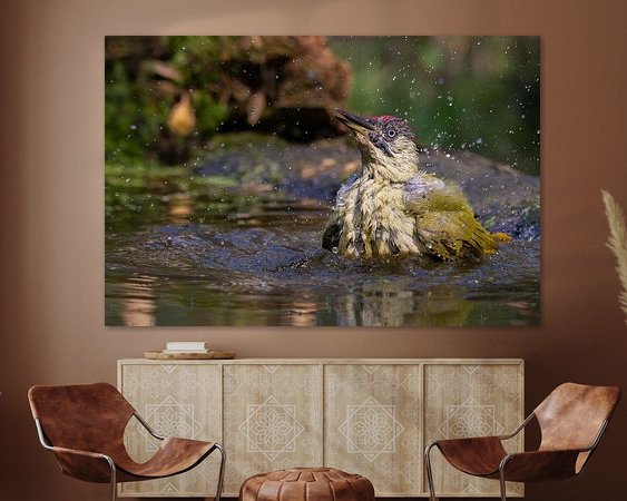 Aperçu de la chambre