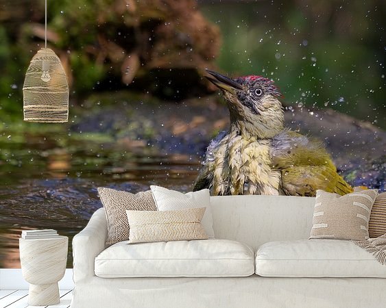 Aperçu de la chambre