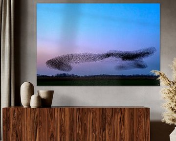 Spreeuwen tijdens zonsondergang van Sjoerd van der Wal Fotografie