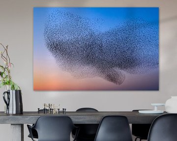 Spreeuwen tijdens zonsondergang van Sjoerd van der Wal Fotografie
