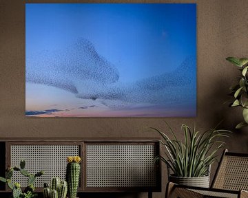 Spreeuwen tijdens zonsondergang van Sjoerd van der Wal Fotografie