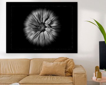 Achtertuin Bloemen In Zwart En Wit Nr 10 Vloei Versie met Rand van The Learning Curve Photography