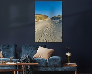 Pad door de duinen op Langeoog van Friedhelm Peters