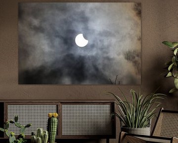 de ZONSVERDUISTERING