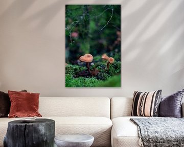 Paddestoelen tafereeltje in de herfst van Sonja de Vlaming