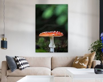 Rood met witte stippen van Sonja de Vlaming